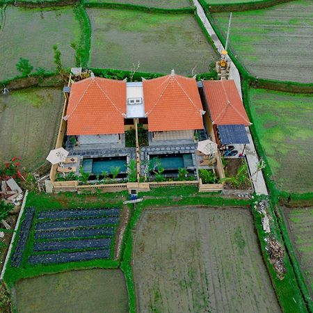 Umesari Villa Sebatu By Uniquecations Ubud Exteriér fotografie