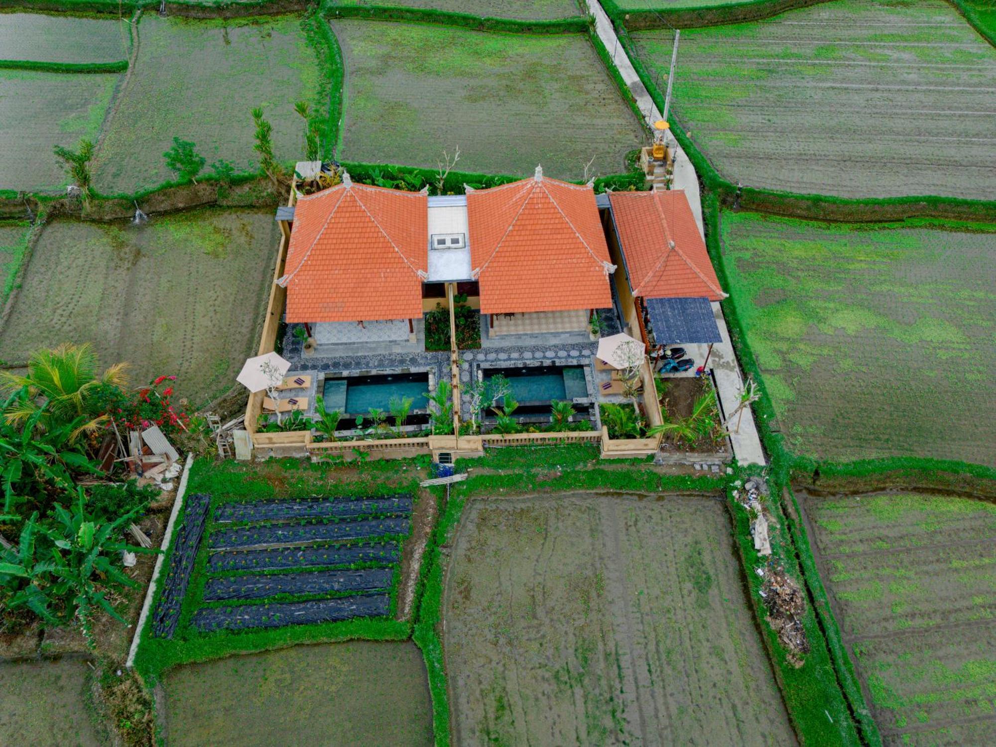 Umesari Villa Sebatu By Uniquecations Ubud Exteriér fotografie
