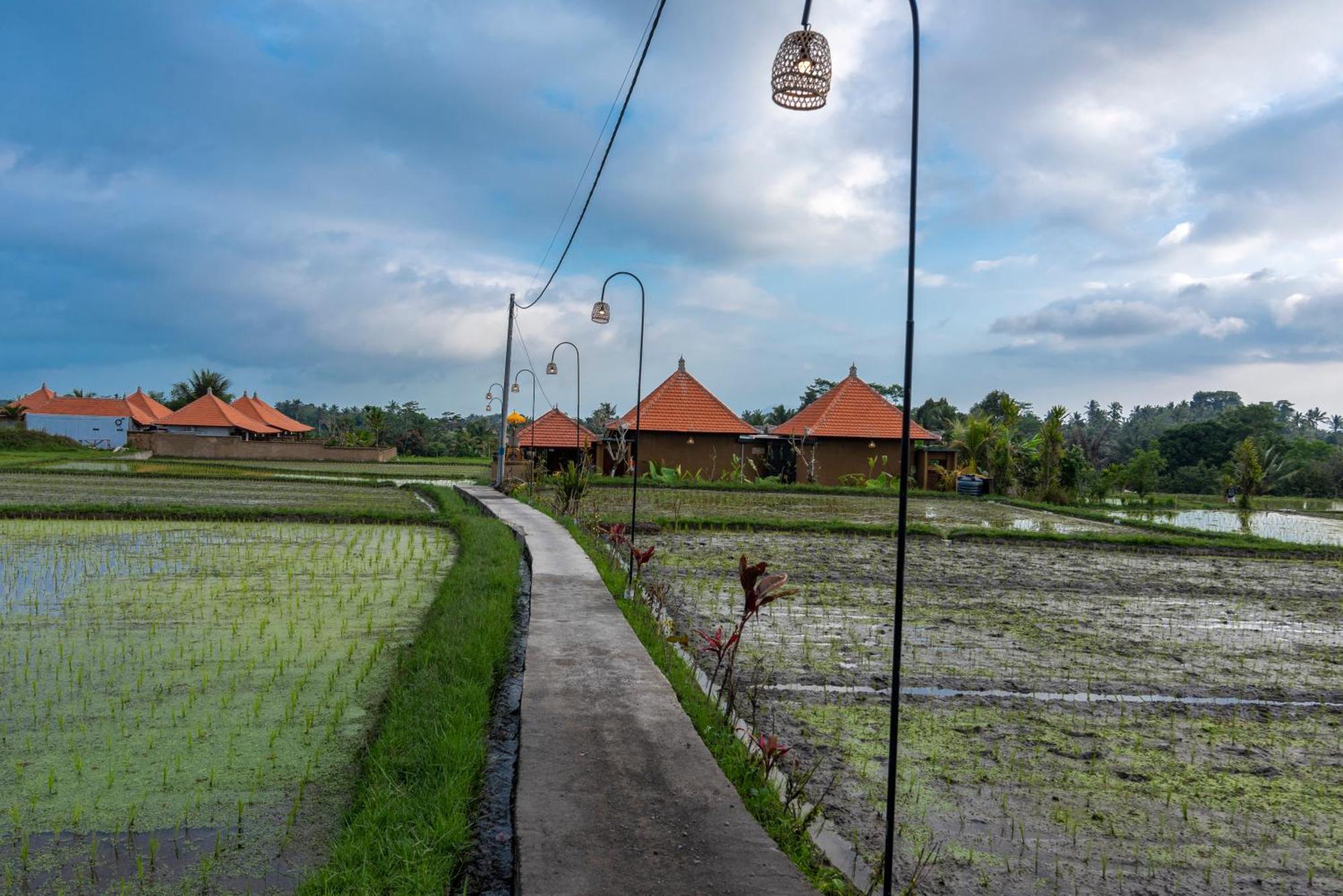 Umesari Villa Sebatu By Uniquecations Ubud Exteriér fotografie